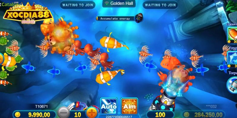 Bombing Fishing Xocdia88 Cực Đỉnh Với Đồ Họa 3D Siêu Hấp Dẫn 3 Chiến lược chơi Bombing Fishing từ cao thủ