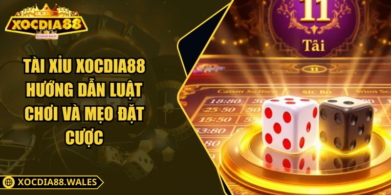 Tài Xỉu Xocdia88 – Hướng Dẫn Luật Chơi Và Mẹo Đặt Cược 4 Tài Xỉu Xocdia88 – Hướng Dẫn Luật Chơi Và Mẹo Đặt Cược