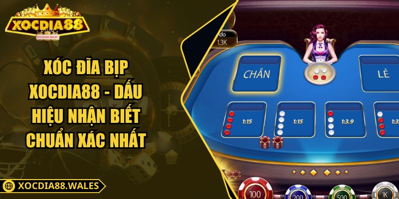 Xóc Đĩa Bịp Xocdia88 - Dấu Hiệu Nhận Biết Chuẩn Xác Nhất 3 Xóc Đĩa Bịp Xocdia88 - Dấu Hiệu Nhận Biết Chuẩn Xác Nhất